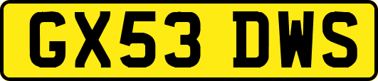 GX53DWS
