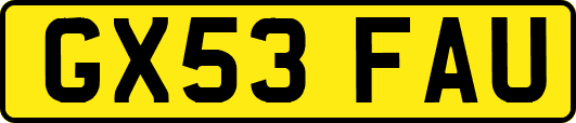 GX53FAU
