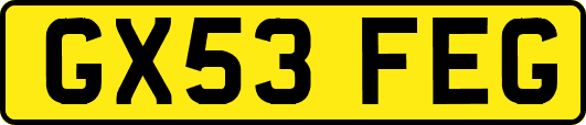 GX53FEG