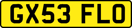 GX53FLO
