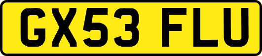 GX53FLU