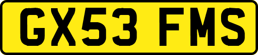 GX53FMS
