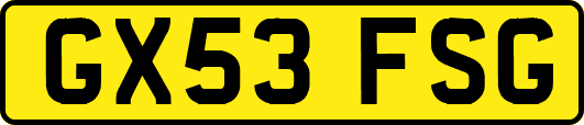 GX53FSG