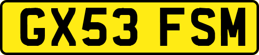 GX53FSM