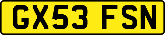 GX53FSN
