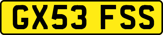 GX53FSS