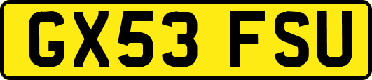 GX53FSU