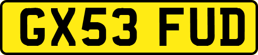 GX53FUD