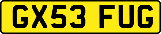 GX53FUG