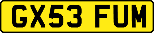 GX53FUM