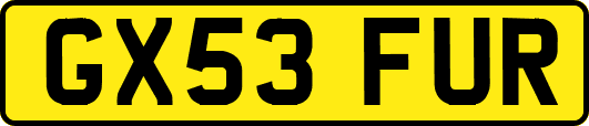 GX53FUR