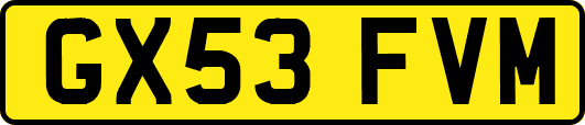 GX53FVM