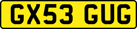 GX53GUG