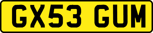GX53GUM