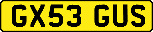 GX53GUS
