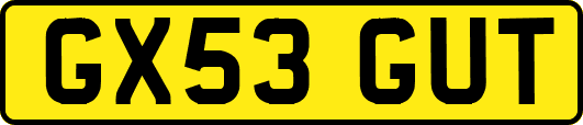 GX53GUT