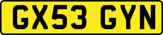 GX53GYN