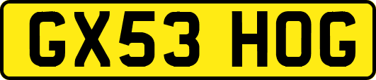 GX53HOG