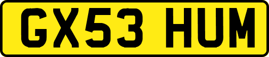 GX53HUM