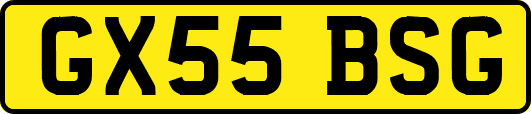 GX55BSG