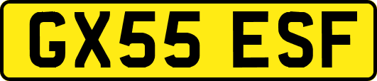 GX55ESF