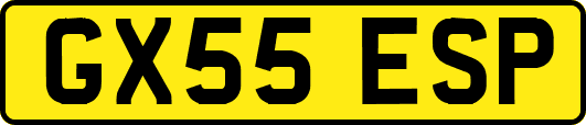 GX55ESP