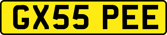 GX55PEE