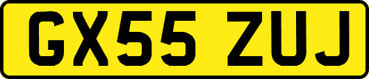 GX55ZUJ