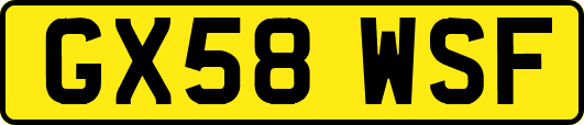 GX58WSF