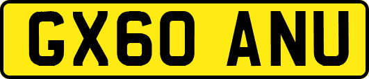 GX60ANU