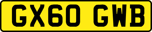 GX60GWB