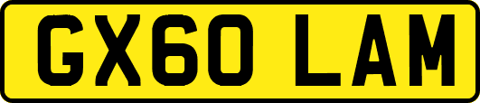GX60LAM