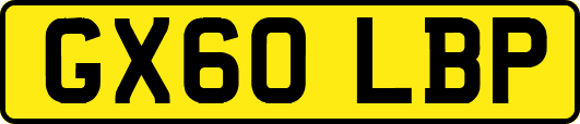GX60LBP