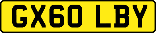 GX60LBY
