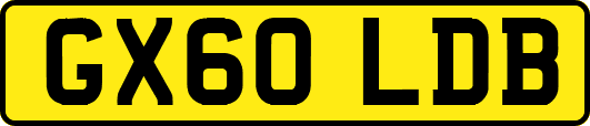 GX60LDB