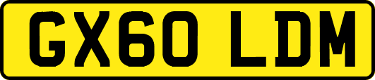 GX60LDM