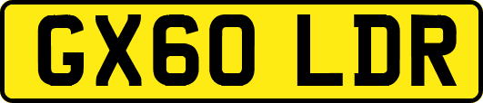 GX60LDR