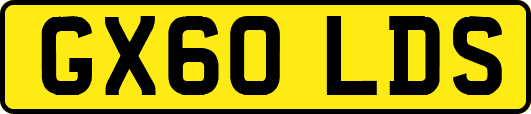 GX60LDS