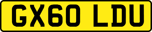 GX60LDU