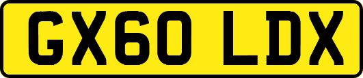 GX60LDX