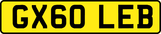 GX60LEB