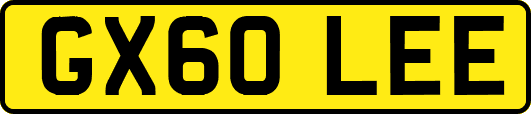 GX60LEE