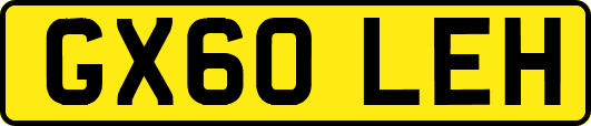 GX60LEH