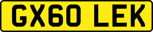 GX60LEK