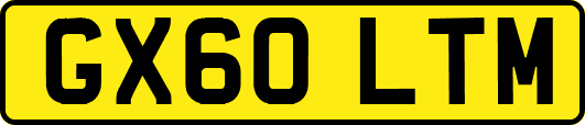 GX60LTM