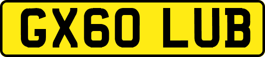 GX60LUB