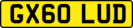 GX60LUD