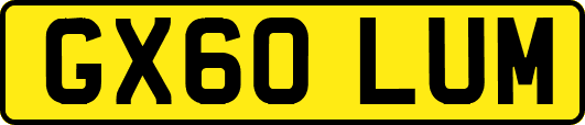 GX60LUM