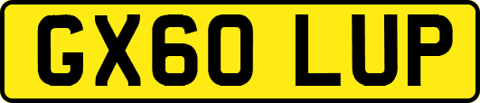 GX60LUP