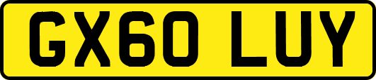 GX60LUY